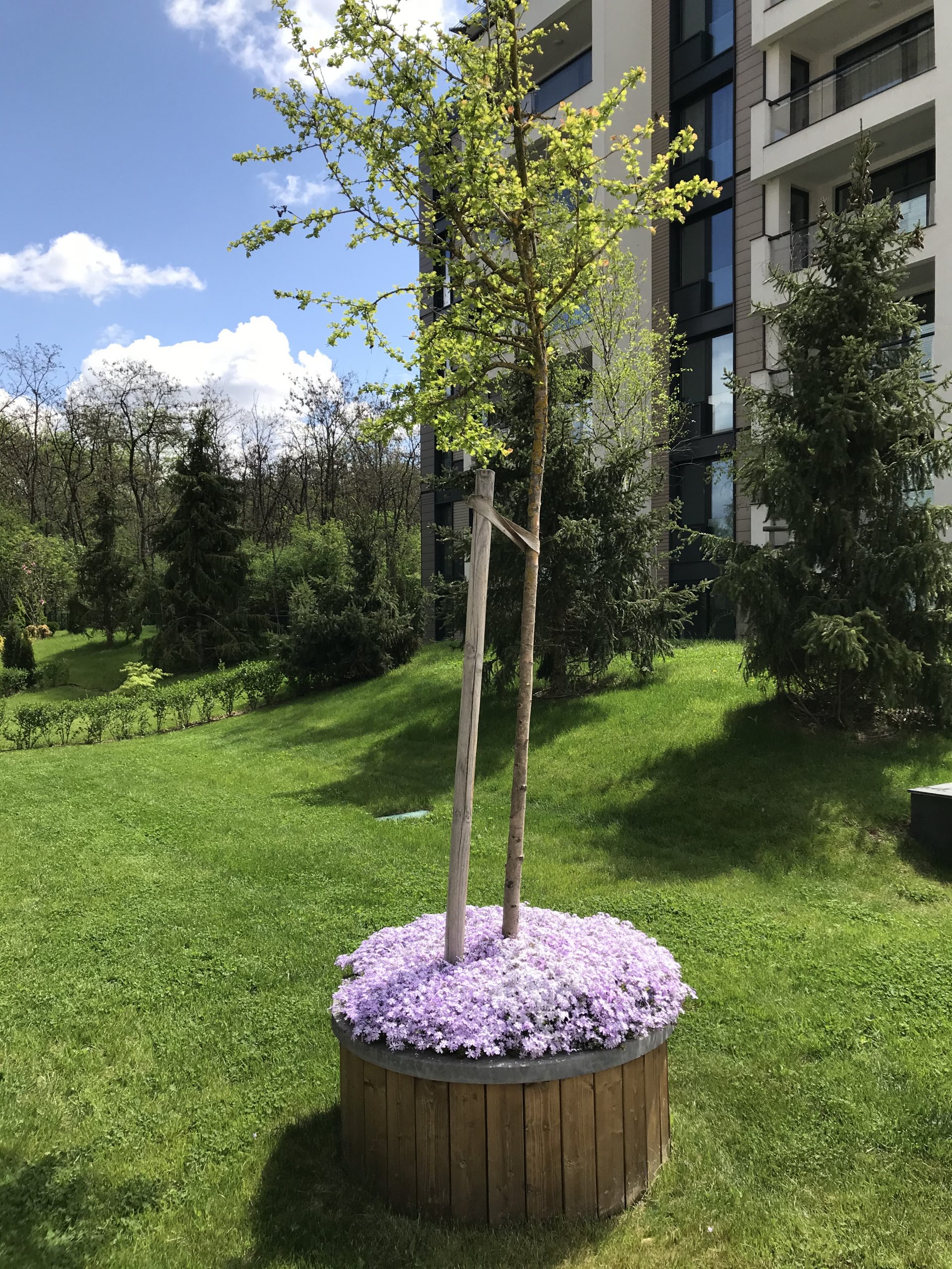 IMG-5735 Бетонна кашпа за градска среда